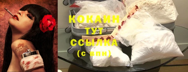 прущие грибы Абинск