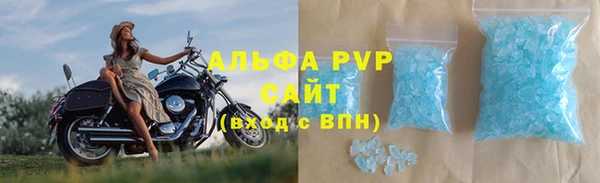 прущие грибы Абинск