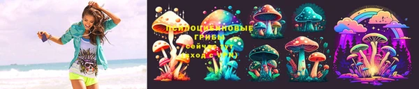 прущие грибы Абинск