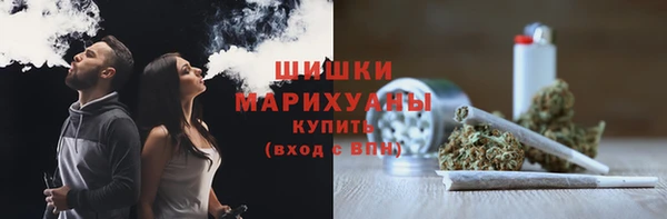 прущие грибы Абинск