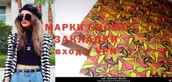 прущие грибы Абинск