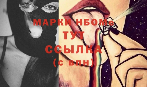 прущие грибы Абинск