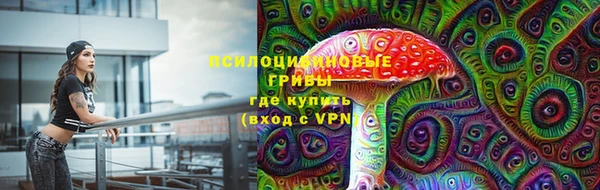 прущие грибы Абинск