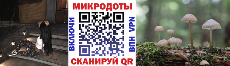 кракен как зайти Урус-Мартан Галлюциногенные грибы мухоморы наркошоп